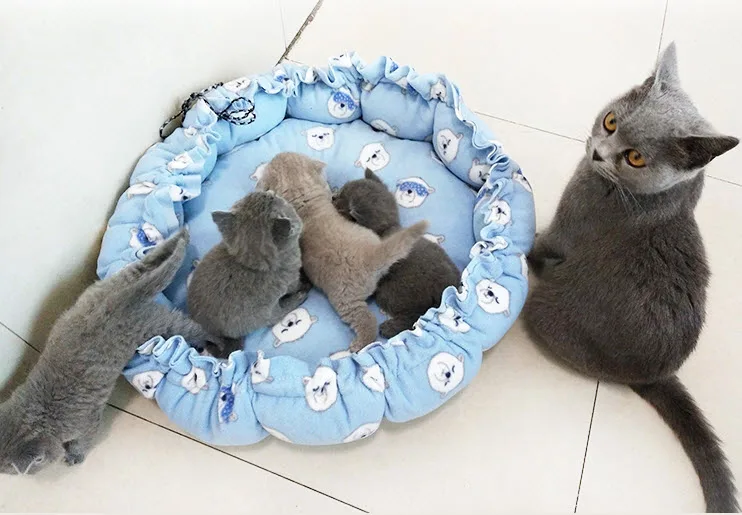 

Stuffed pet nest Plushed pet bed Soft sleep cushion Relax and comfortable Pet home mat