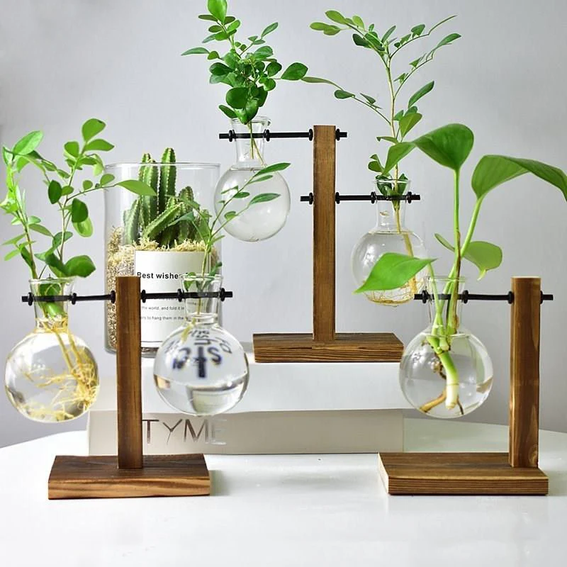 

Table Desk Bulb Glass Hydroponic Vase Flower Plant Pot With Wooden Tray Office Decor Decoracion Salon Casa Vase Decoration