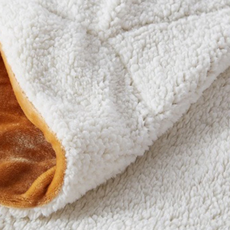 Зимнее Фланелевое Коралловое Флисовое одеяло из шкуры ягненка супер мягкое