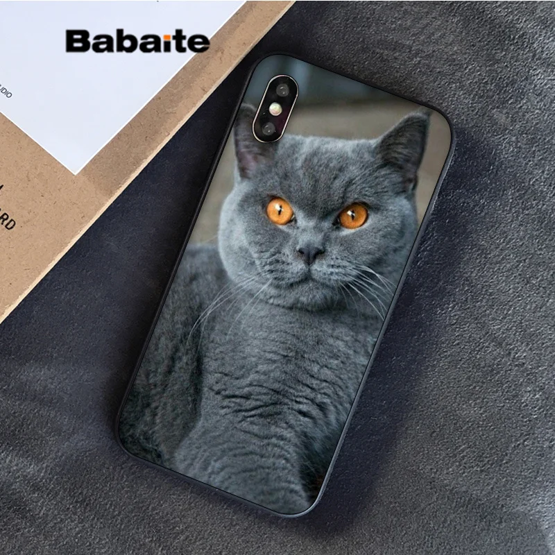 7 Babaite Британский короткошерстный Кот в продаже окрашенный мягкий чехол для телефона Apple iPhone 8 7 6S Plus X XS MAX 5 5S SE XR - Цвет: 7