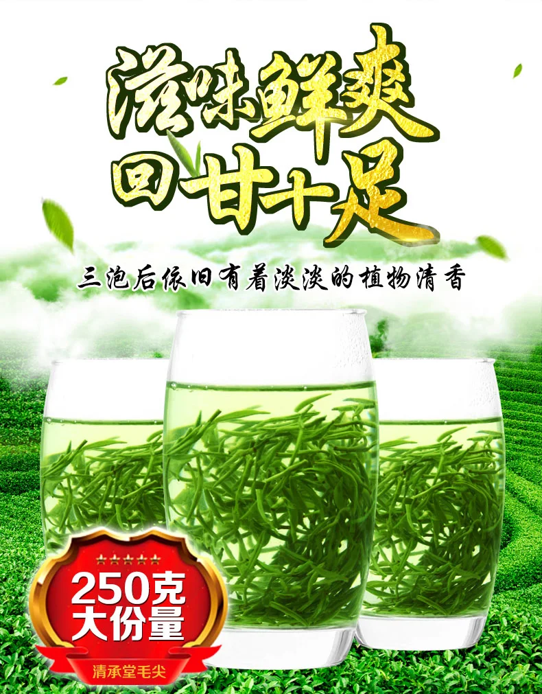 

Xinyang Maojian Tea High Quality Xin Yang Tea Mao Jian Green 250g Tin