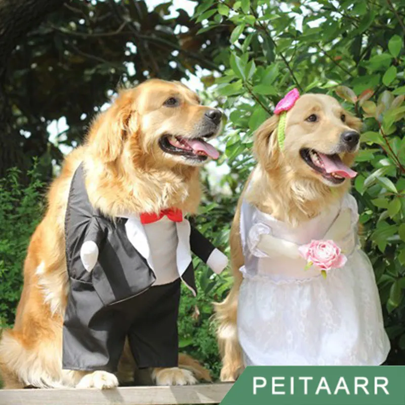 [PEITAARR] одежда для домашних животных собак собачье свадебное платье костюм собаки