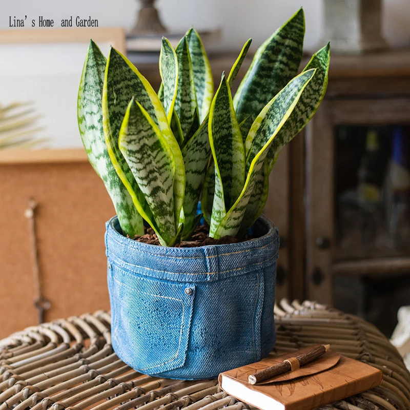 

jeans design cement small gardening flower planter pot