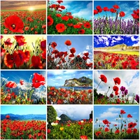 full square drill diamond embroidery cross stitch poppy diamond painting landscape 5d diy mosaic rhinestone pictures crafts gift