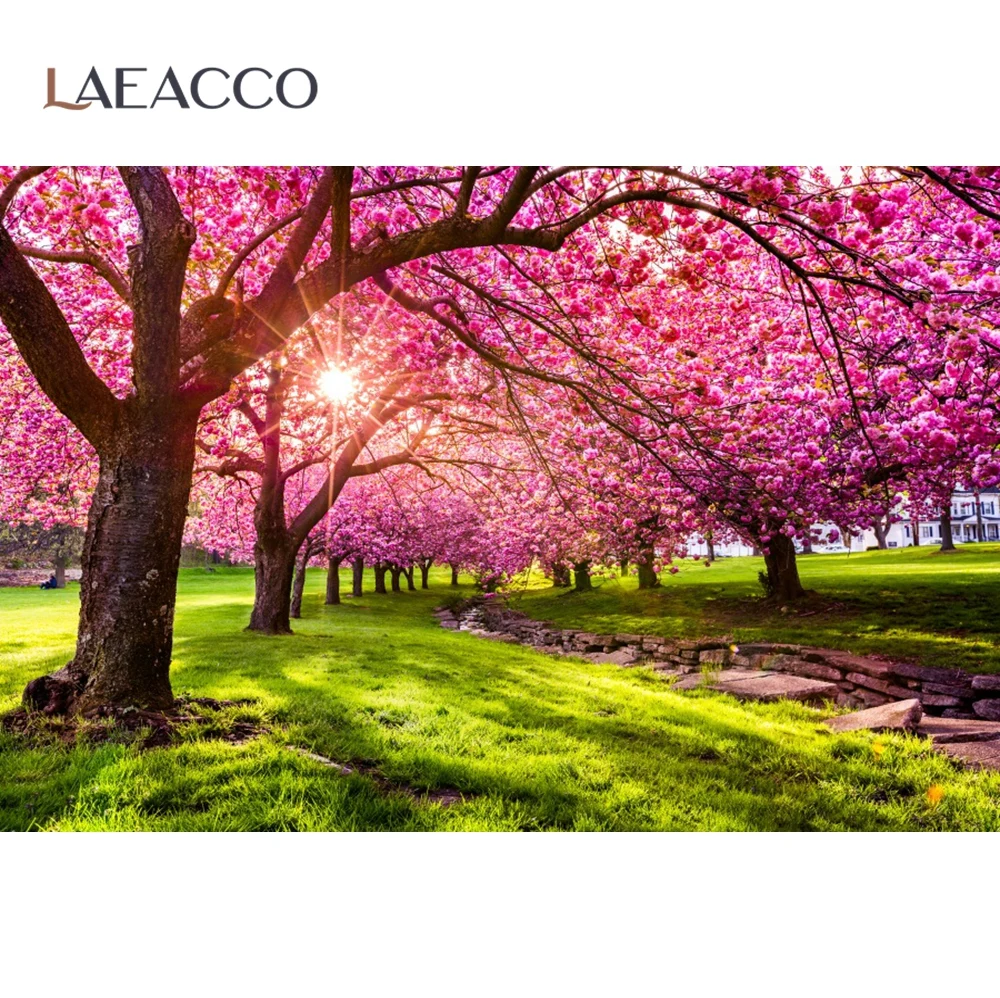 Laeacco розовые цветы вишни настольные цветущие деревья Парк фон для фотосъемки с