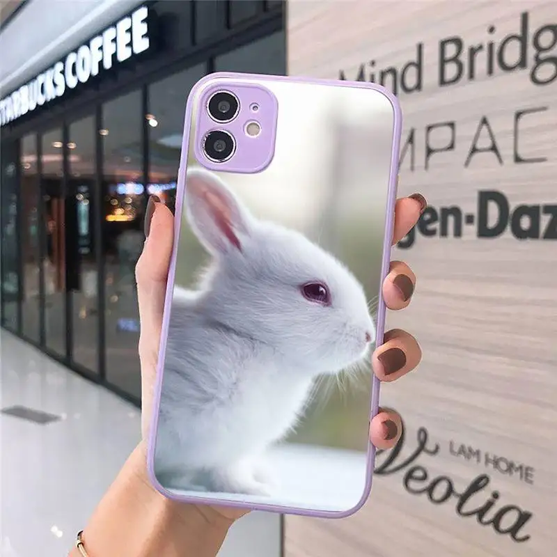 

Phone Case For iPhone 12 11 Mini Pro XR XS Max 7 8 Plus X Cute rabbit Matte transparent Purple Cover