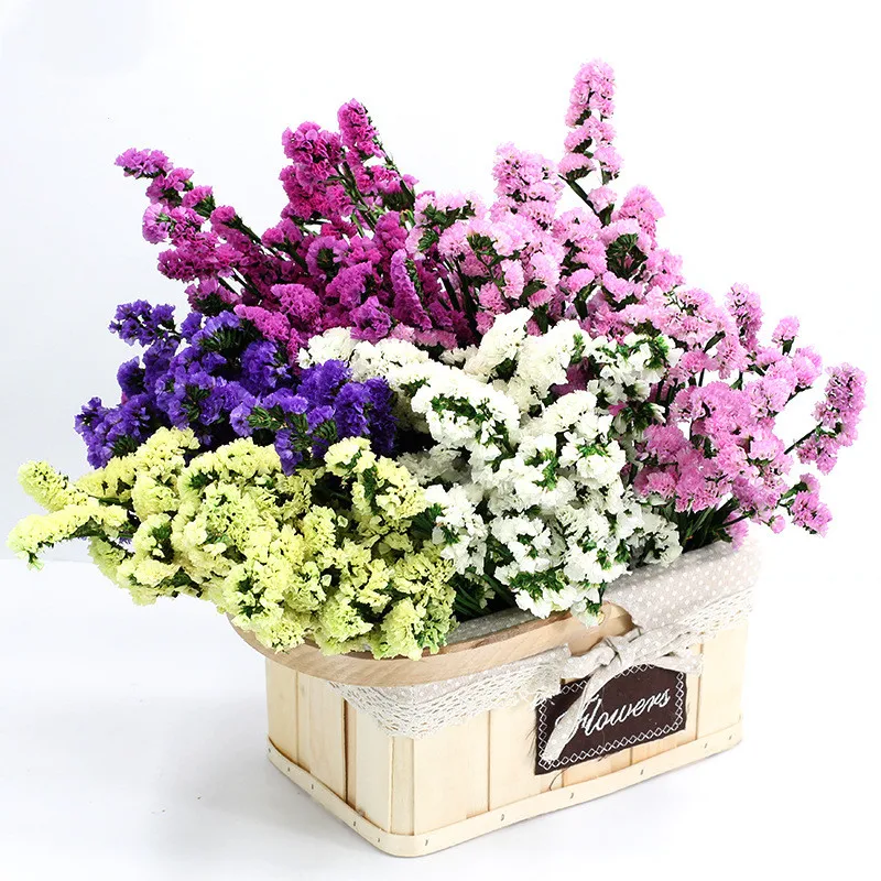 

Real Dried Natural Flower Forget Me Not Bouquet Eternal Floral Wedding Party Valentine's Day DIY Bouquet Home Decoration