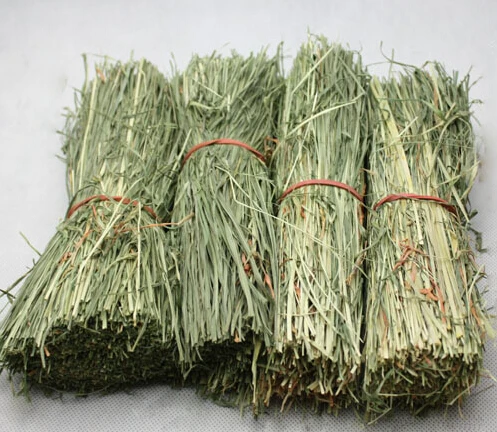 Для песчаного солдата ландшафта модели соломы охоты сцены материал|Архитектура /