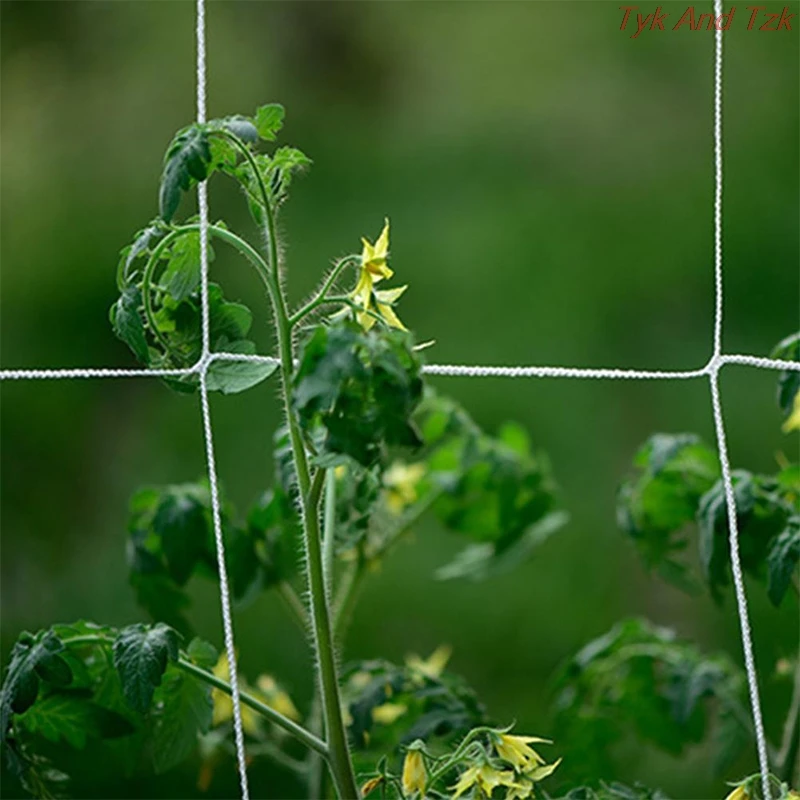 

Plant Trellis Netting Heavy-Duty Polyester Plant Support Vine Climbing Hydroponics Garden Net Accessories Multi Use