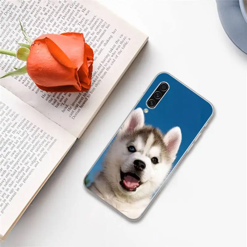 

Cute aniaml dog husky Phone Case For Samsung A S M Note 9 10 20 fe 21 71 30 ultra plus 5g 11 31 51 s