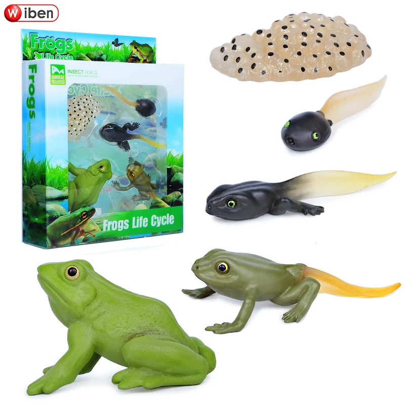 Имитация насекомых-лягушек жизненный цикл комаров модель черепахи муравьев