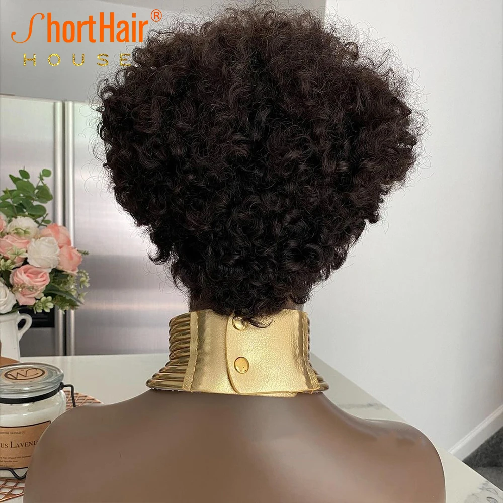 Афро кудрявые вьющиеся парики на сетке спереди из человеческих волос для черных