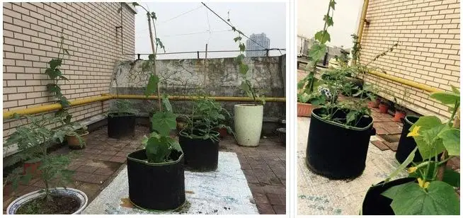 Дополнительный размер сумки для выращивания домашних животных толстый материал