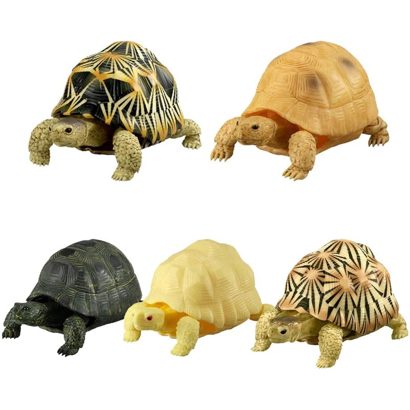Bandai натуральная Gacha игрушка морская черепаха модель черепахи игрушки |