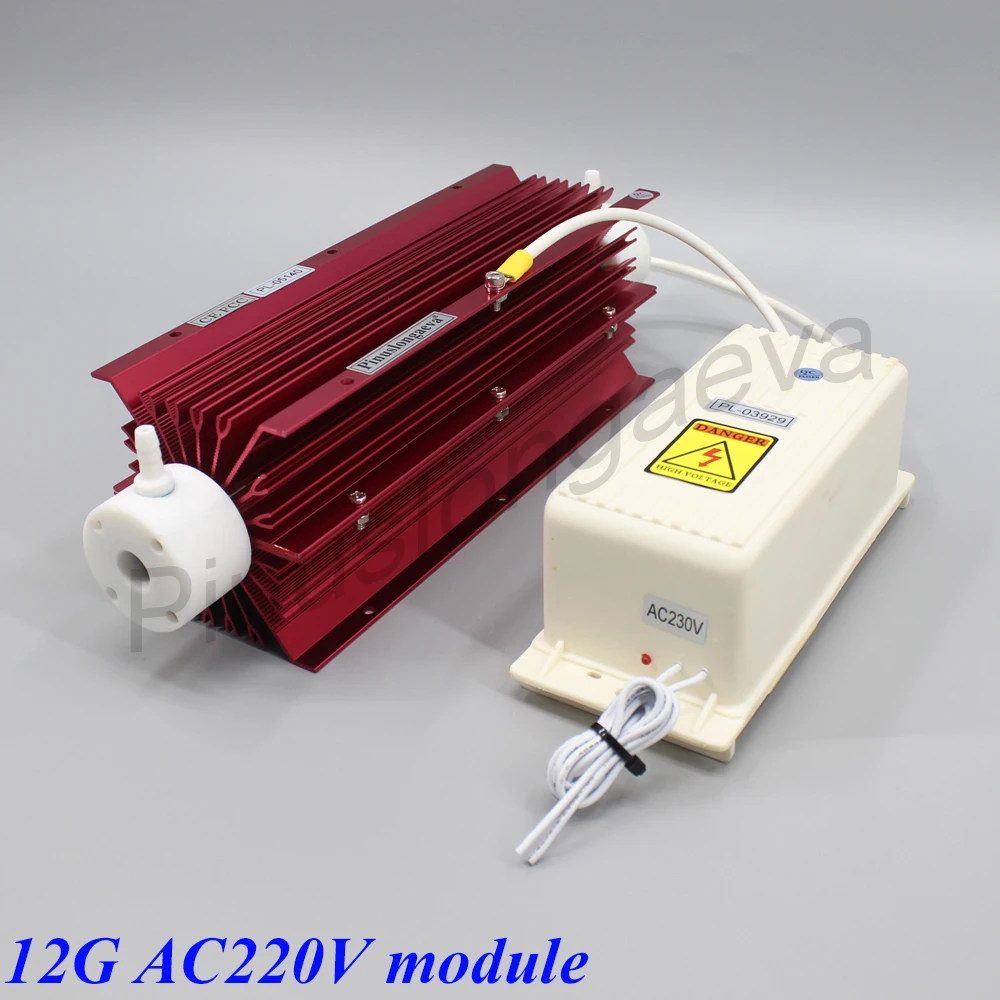 12G AC220V module Pinuslongaeva, 12 Гц/ч, 15 Гц/ч, 15 грамм, регулируемая кварцевая трубка, генератор озона, очиститель фруктов и овощей, озоновая сауна с сухим паром - Цвет: 12G AC220V module