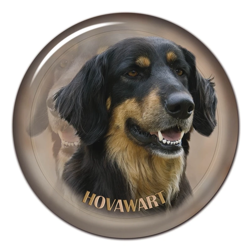 

B0897# 13CM/17CM Self-Adhesive Decal Hovawart Dog V3 Car Sticker Decors on Bumper Rear Window Laptop