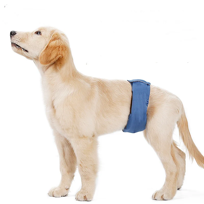 

10PCS/LOT Reusable Male Pet Dog Nappy Pants Menstrual Sanitary Diaper Pets Physiological Pants Belly Band Shorts Pet Supplies