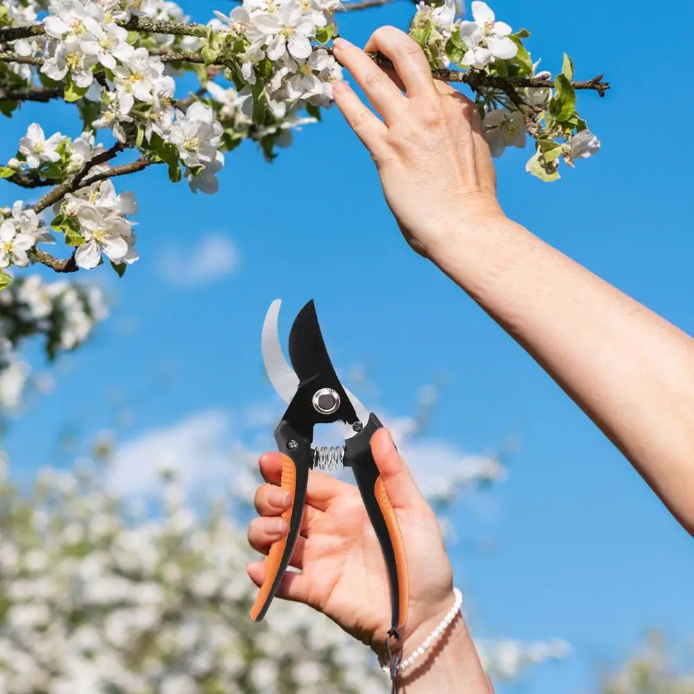 Ножницы диаметром 17 см искусственные ножницы из нержавеющей стали инструмент