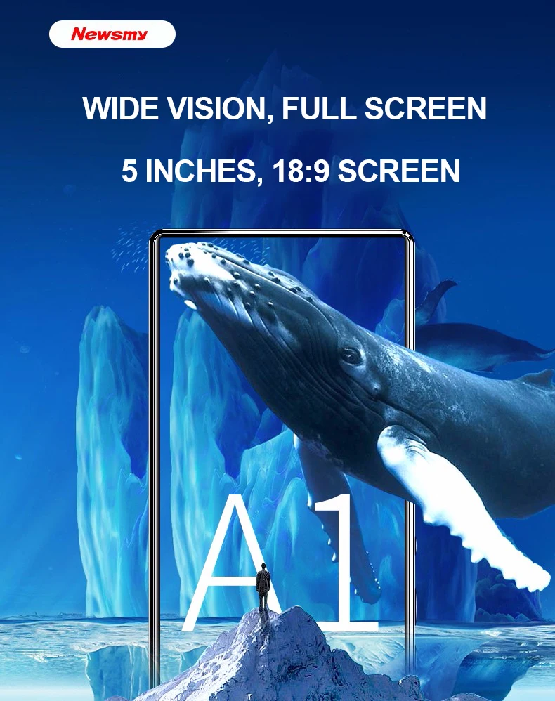 Newsmy A1 MP3 MP4 MP5 полный сенсорный экран 5,0 дюймов 8 Гб памяти APE FLAC WAV электронная книга ридер Loseless видео музыкальный плеер