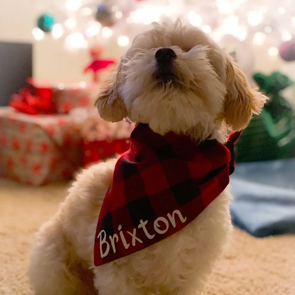 ღ Les 20 Meilleures Marques De Bandanas Pour Chiens Avec Nom En 2022 ღ Les 20 Meilleures Marques De Bandanas Pour Chiens Avec Nom En 2022
