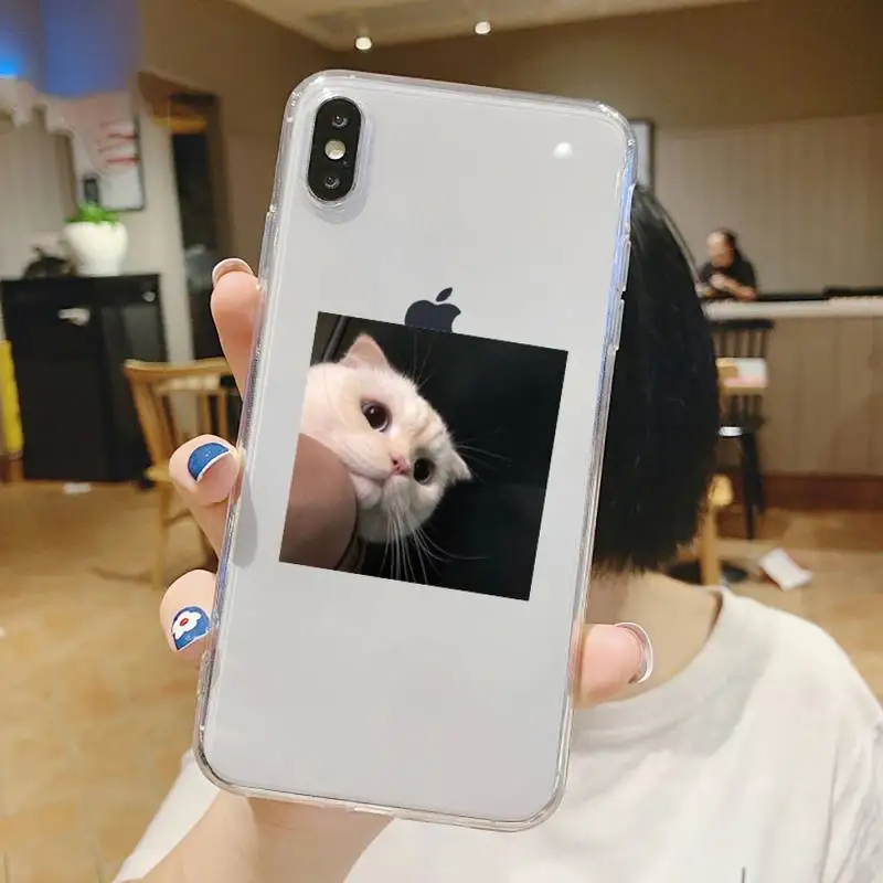 

Cute aniaml cat pattern Phone Case Transparent for iPhone 6 7 8 11 12 s mini pro X XS XR MAX Plus