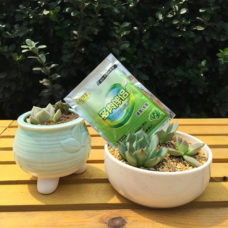 Суккуленты специальное удобрение спутник против корневой гнили и способствует