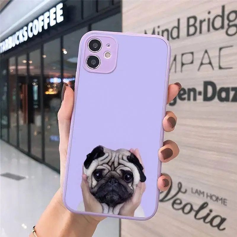

Bulldog cute animal cute pet Phone Case Matte transparent For Purple iPhone 12 Mini 11 Pro XR XS Max 7 8 Plus X Back Cover