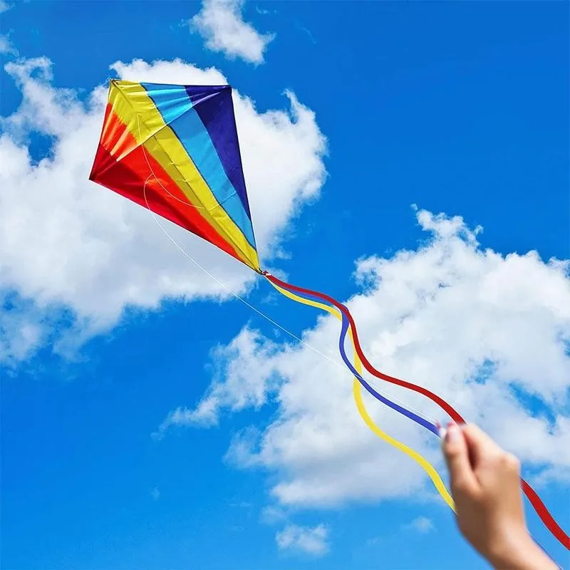 

Colorful Rainbow Kite Long Tail Polyester Outdoor Kites Flying Toys For Children Kids Surf Kite With Control Bar And 100m Line