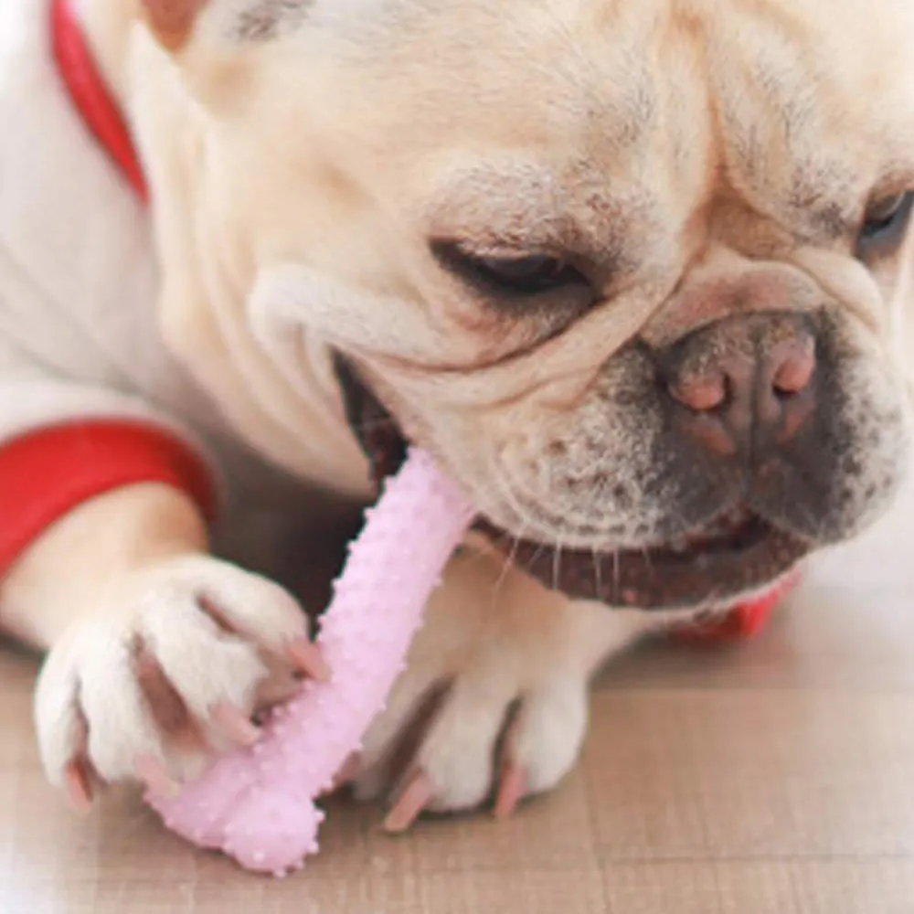 1 шт. игрушка для собак вокальный молярной резины жевания писклявый резиновый