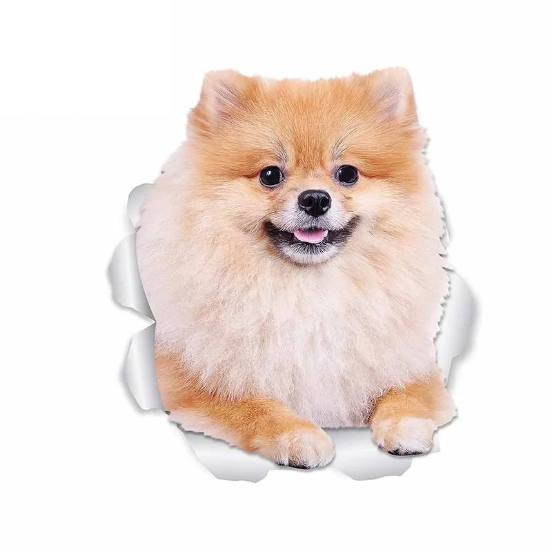 

13cm X 11.5cm for Pomeranian Dog Car Styling Stickers Trunk Decal Waterproof Vinyl Material Suitable for VAN RV Decoration Auto