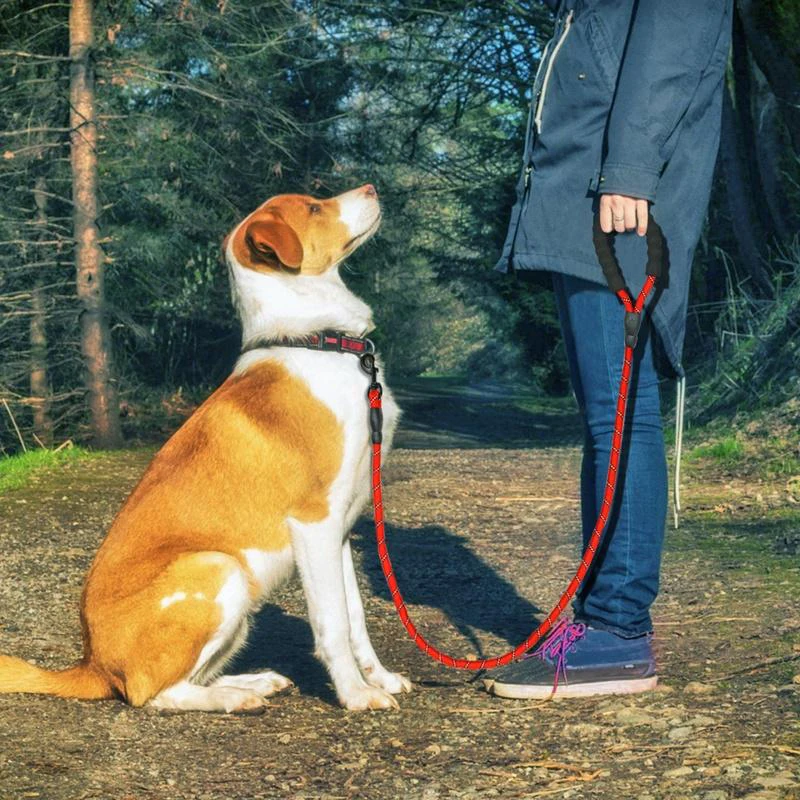 

120/150cm Durable Nylon DogLeash Reflective Pet Training Leashes Medium Large Dogs Collar Lead Rope for Camping Backyard