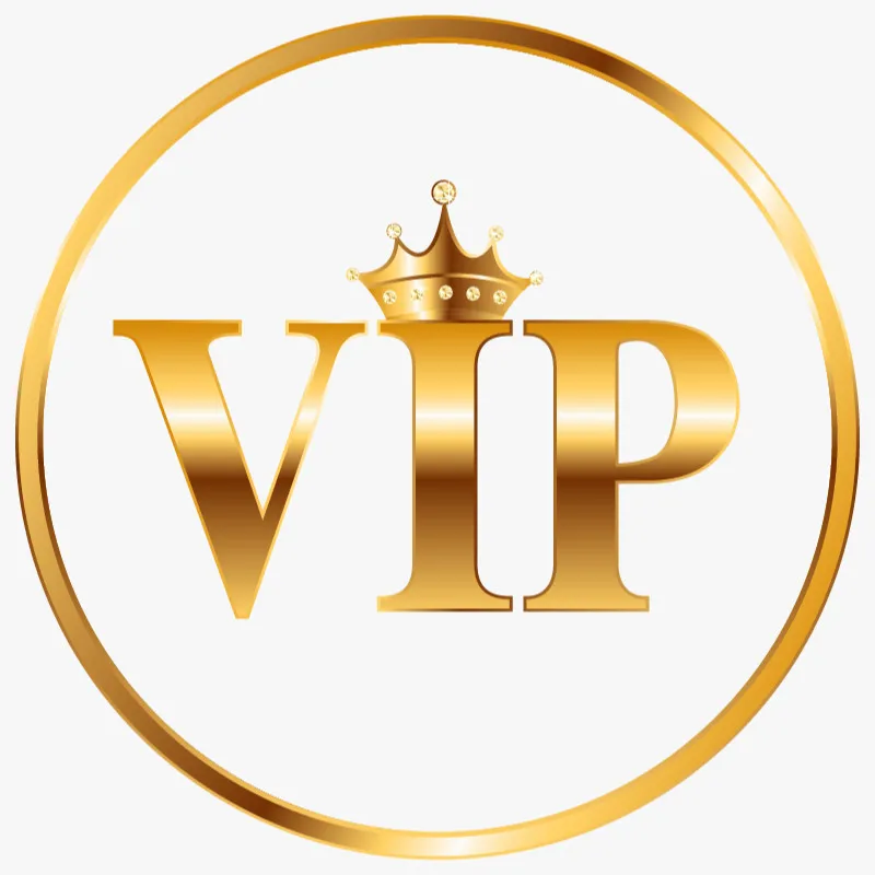 

VIP-сумка для бренда