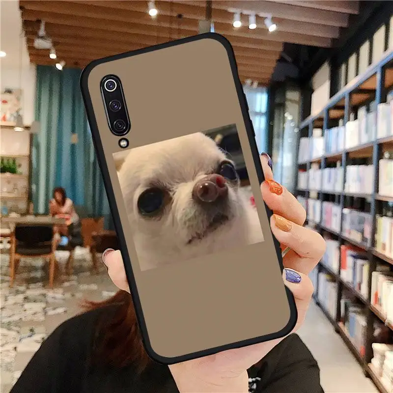 

cute cat dog Phone Case For Xiaomi Redmi mi note 7 8t 9 9t 9s 8 10 10t 11 pro lite K20 max 3