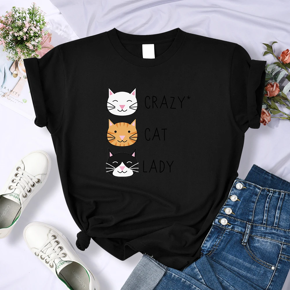 Loose Casual Crazy Cat Lady Cute Hip Hop T Shirts Women Fashion Sweat Clothing Summer Tops New Crewneck Womens T-Shirts | Женская одежда