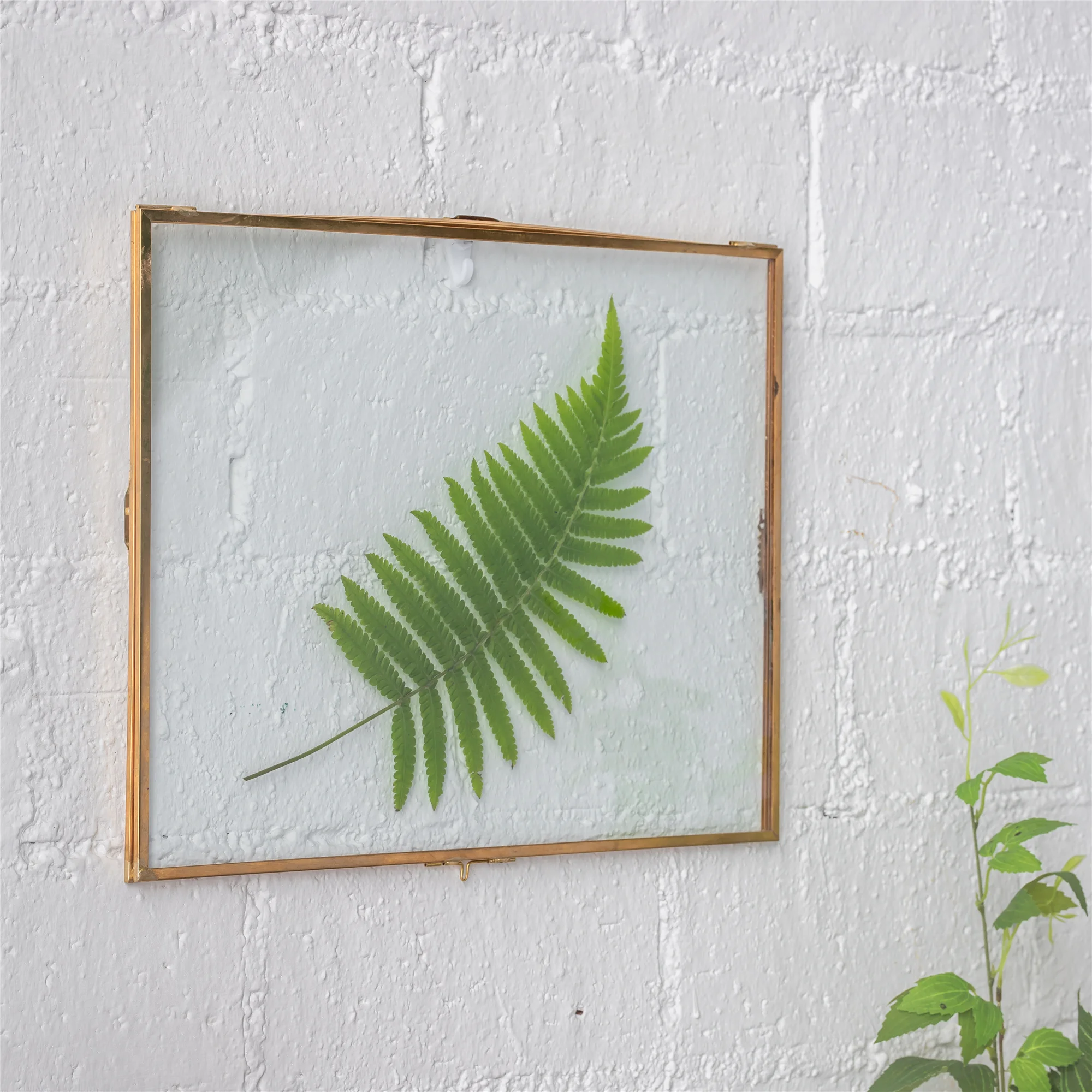 28x36cm Retro Glass Picture Frame Display Poster Plants Specimen Clip Home Office Wall Decoration Card Photo Frames Rectangle
