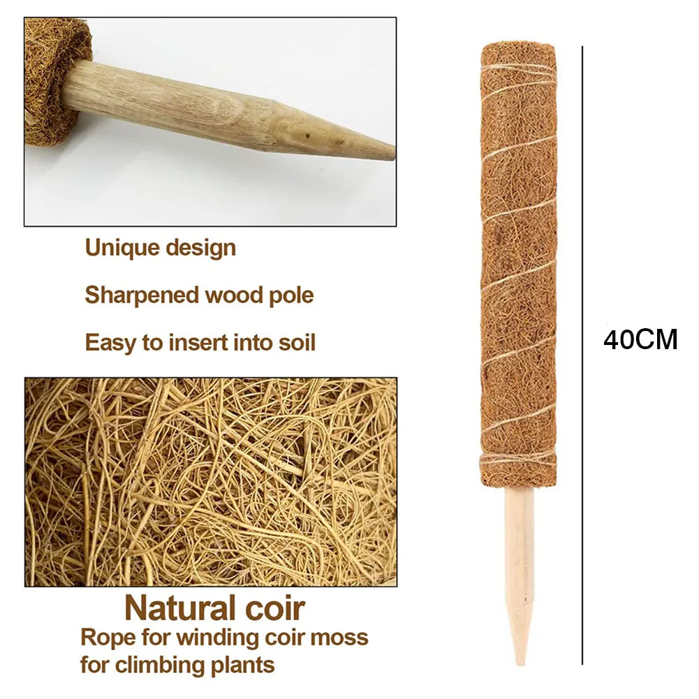 

Plant Climbing Coconut Palm Stick Office Extension Coconut Palm Pillar Support Gardening Coconut Palm Stick Totem Pole.