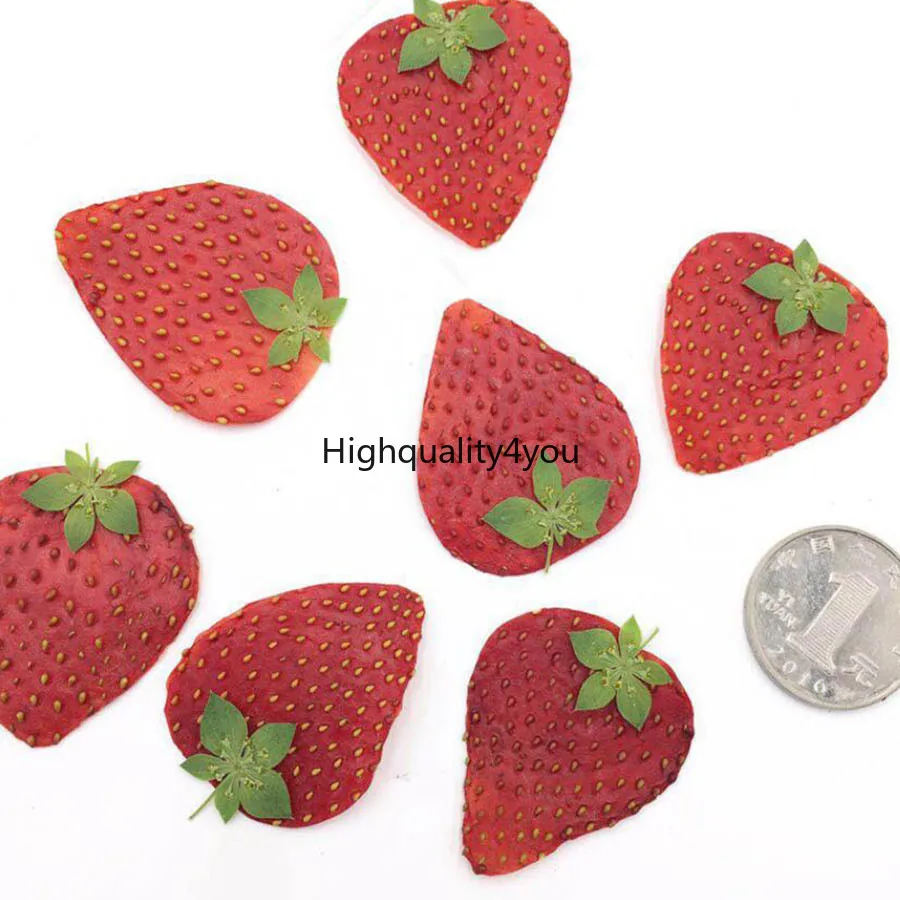 10 шт. сушеные прессованные кусочки клубники фоторамка для ювелирных изделий|craft