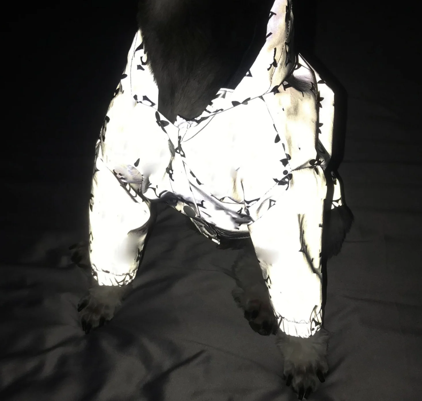 

Hotsell Brand new Fashion Dog Jacket Windbreaker waterproof Reflective in Night