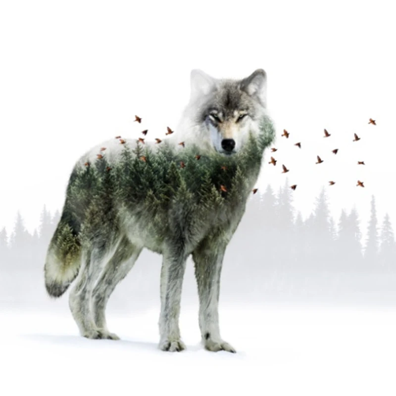 DIY 5D алмазная картина животное волк Стразы мозаика узор Алмазная вышивка