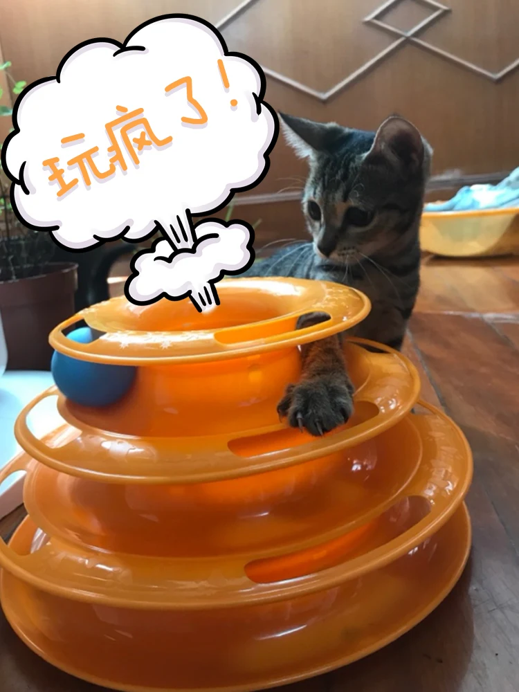 Там Слои Crazy диск с шариком кошка игрушки противоскользящая Интерактивная