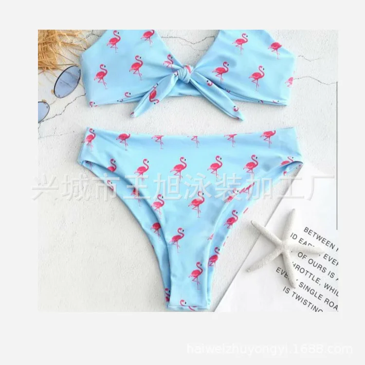 Женский купальник 2020 Раздельный плечевой ремень с принтом фламинго сексуальное