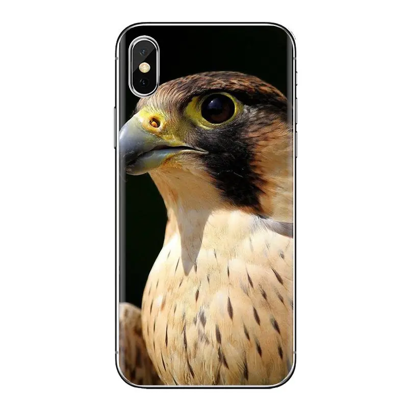 Peregrine Falcon fastest animal Birds For iPod Touch Apple iPhone 4 4S 5 5S SE 5C 6 6S 7 8 X XR XS Plus MAX Silicone Cases Cover |