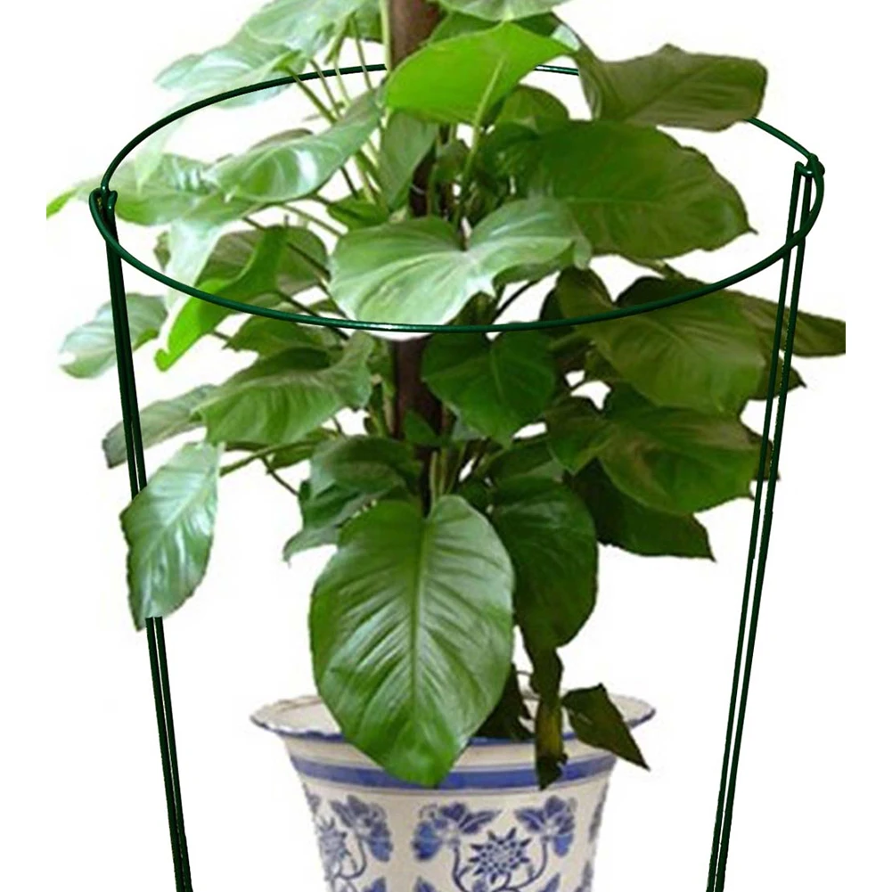2 шт. растительное поддерживающее кольцо полукруглое твердое стальное из