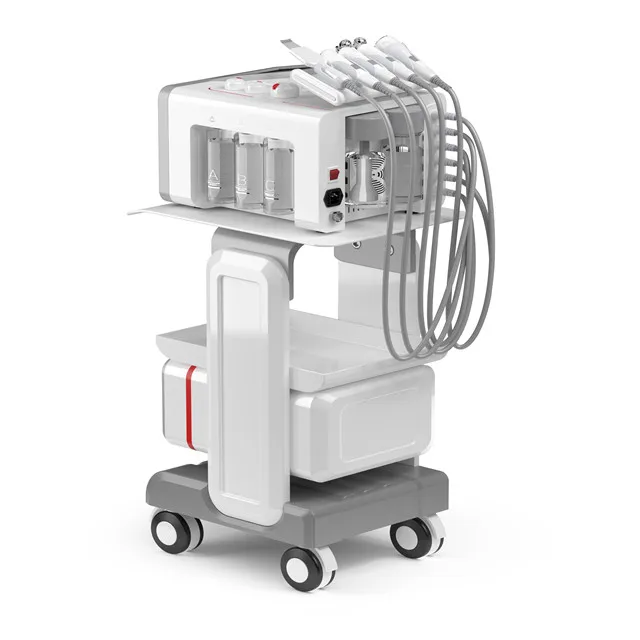 

Reskin Needle Free skin rejuvenation Diamond Dermabrasion Skin Care Beauty Machine Ce