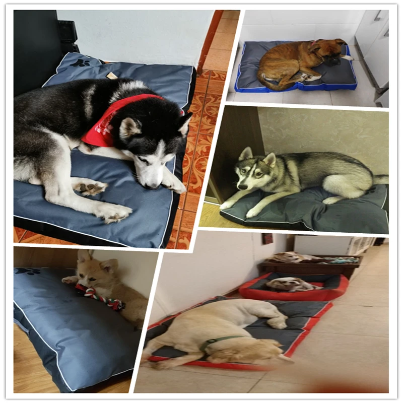 

Washable Dog Bed for Large Dogs Oxford Cloth Breathable Soft Pet Dog Bed All Seasons Cushion Blanket Sofa for Dog With Zipper