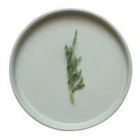 kitchen china plates creative ceramic pasta porcelain dinner plates dishes dessert assiette ceramique serving trays dl60pz