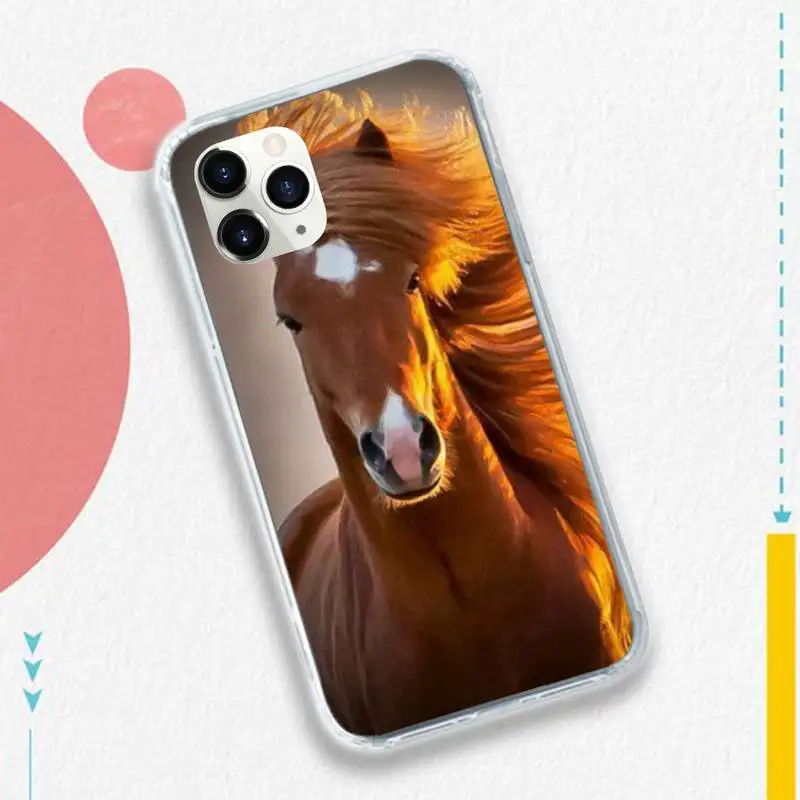 

Frederik The Great beauty horse Phone Case for iPhone 11 12 pro XS MAX 8 7 6 6S Plus X 5S SE 2020 XR