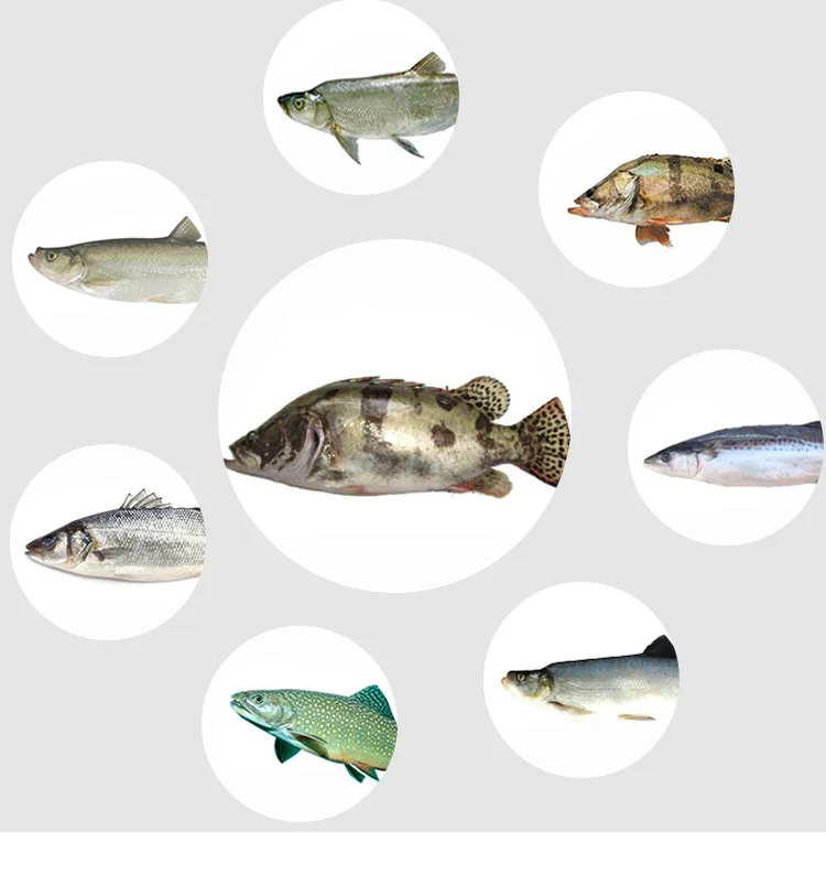 

Insects Flies Fly Fishing Lures Bait High Carbon Steel Hook Fish Tackle With Super Sharpened Crank Hook Perfect Decoy 10Pcs/Set