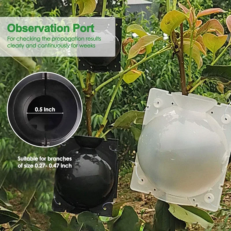 Коробка для выращивания корней растений высокого давления многослойная коробка