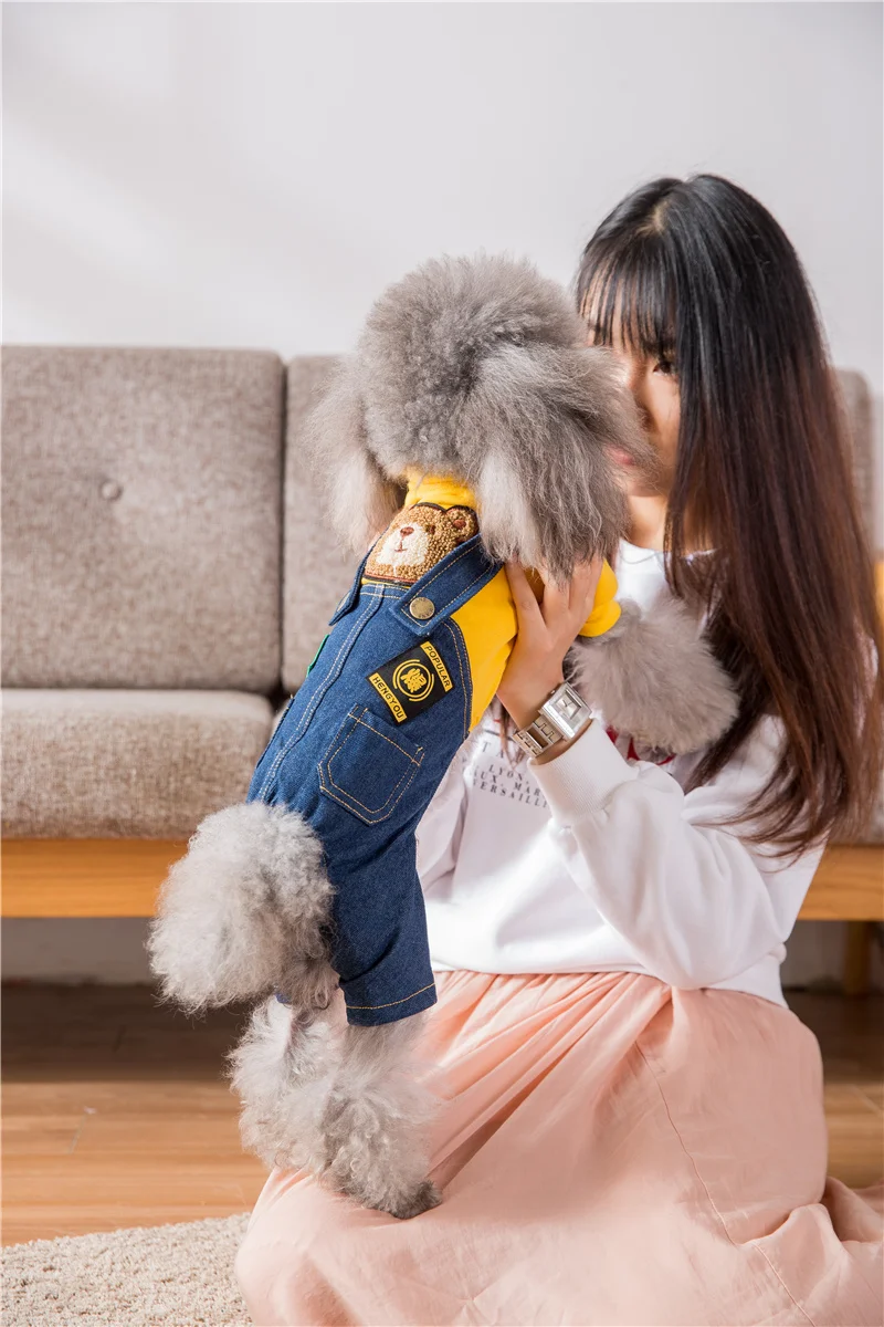 Hipidog Новое поступление мультяшная Одежда для собак для маленьких комбинезон для собак Прямая поставка